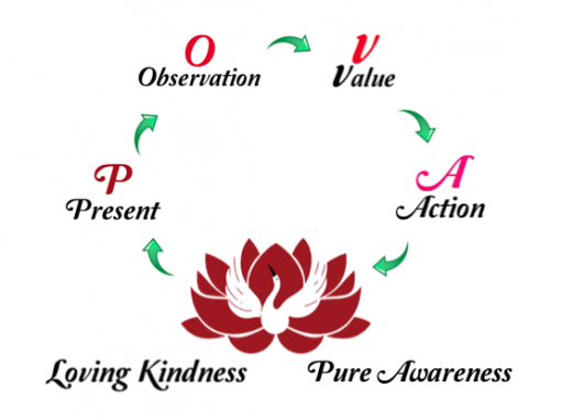 The Four Step Process Pova™ Lotus Nguyen