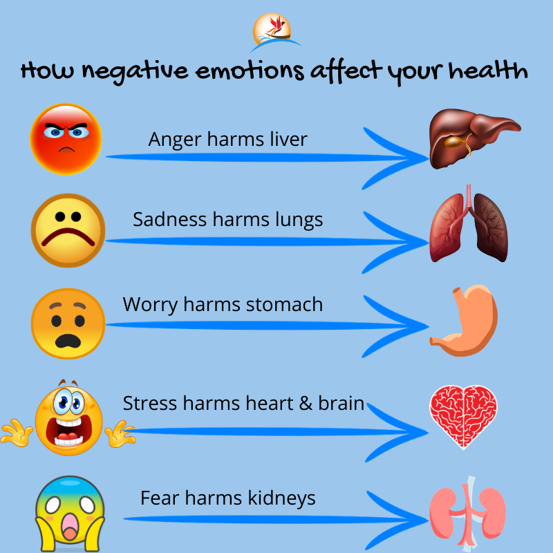 organs-emotions-health-holistic